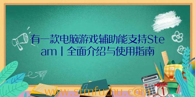 有一款电脑游戏辅助能支持Steam|全面介绍与使用指南